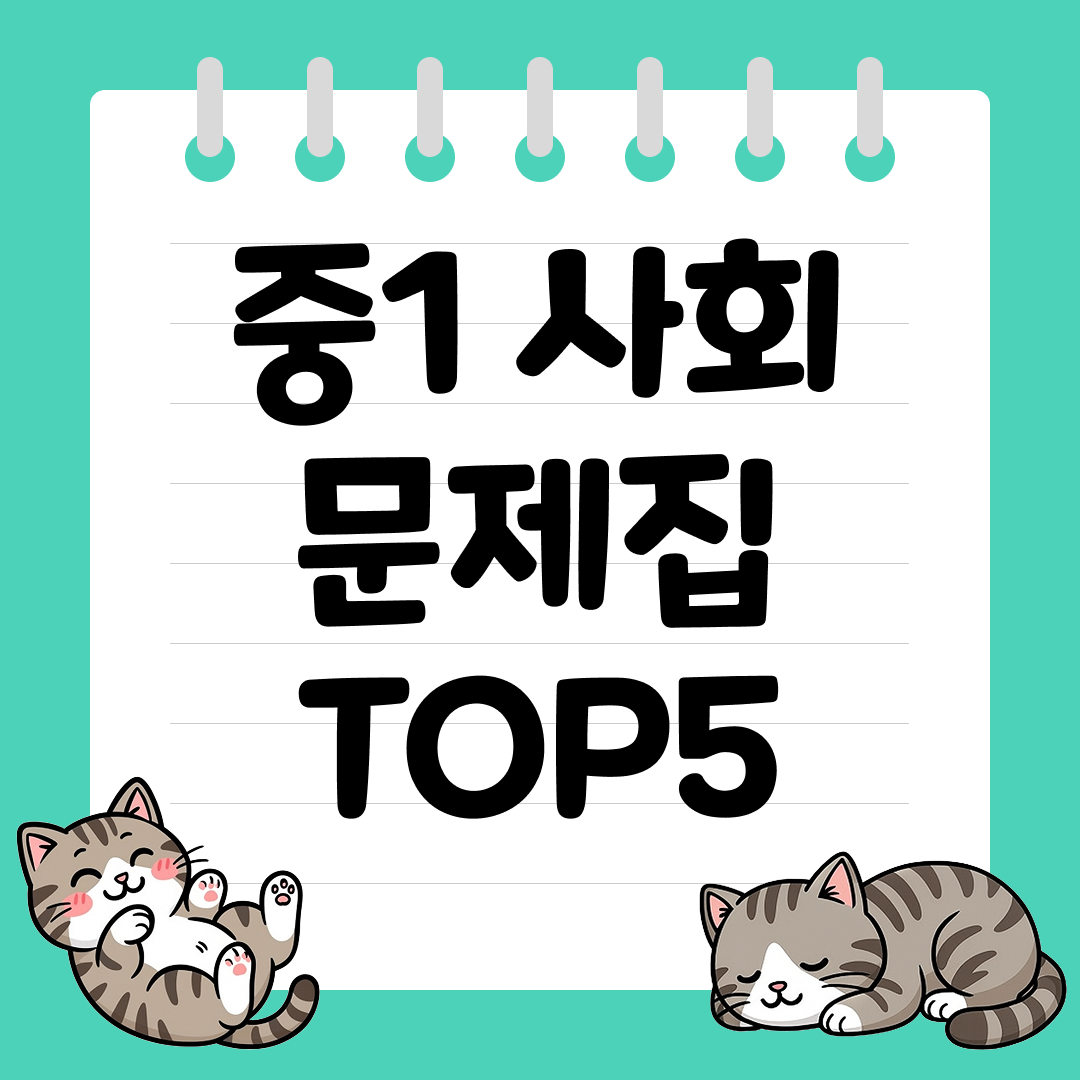 2026년 대비 중1 사회 문제집 추천 순위 TOP5
