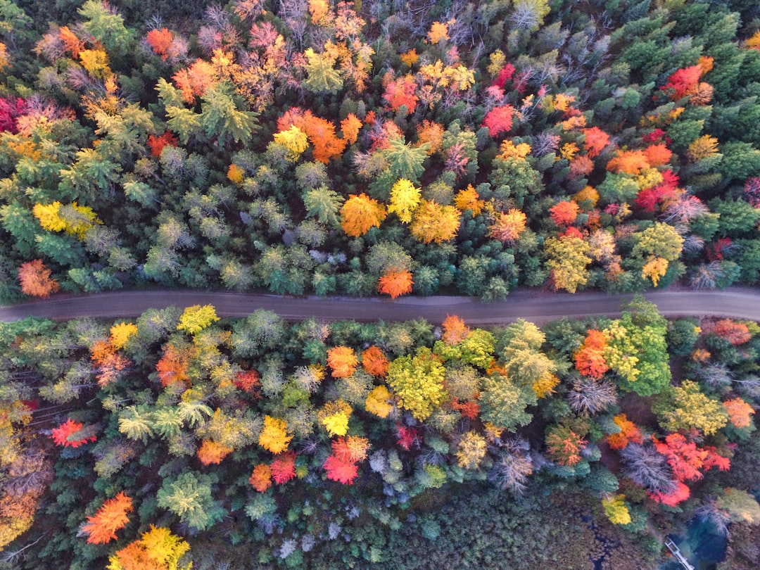 Autumn