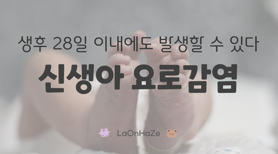 신생아 요로감염 관련 사진