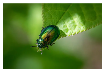 산책길이 우리 집 교과서였어요.