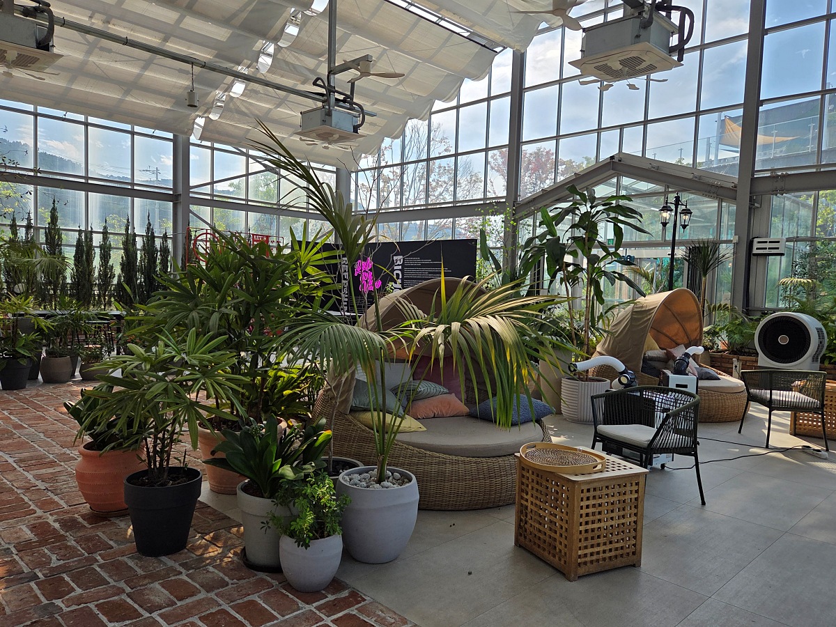 강화도 대형카페 두운리, 초록의 목수국 정원까지 즐기는 강화도 갈만한곳