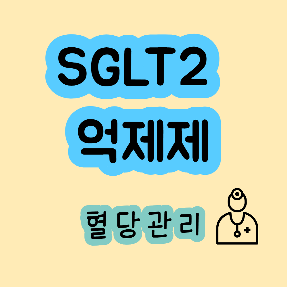 SGLT2 억제제