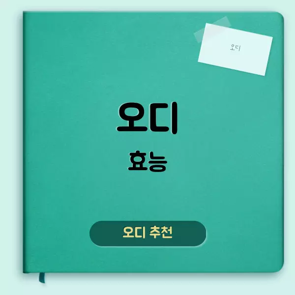 오디 효능에 대하여