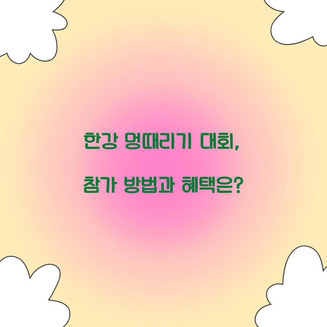 한강 멍때리기 대회