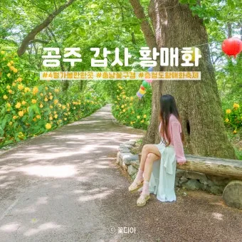공주 가볼만한곳 맛집 카페 추천 실내 사진 명소_17