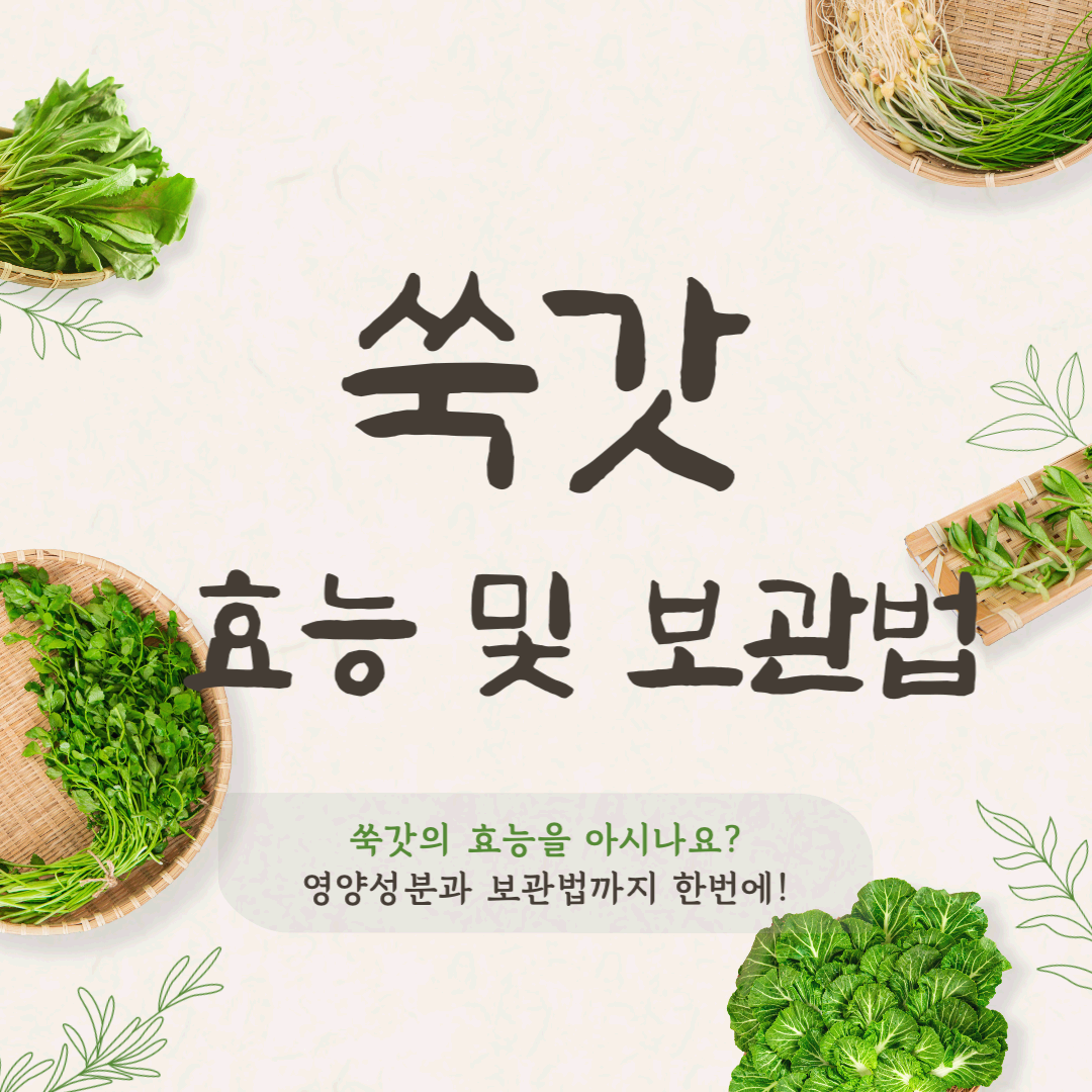 쑥갓의 좋은 효능과 영양성분 보관법까지 완벽 안내