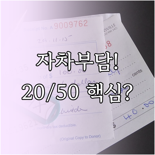 자차보험 자기부담금 20만원 50만원..