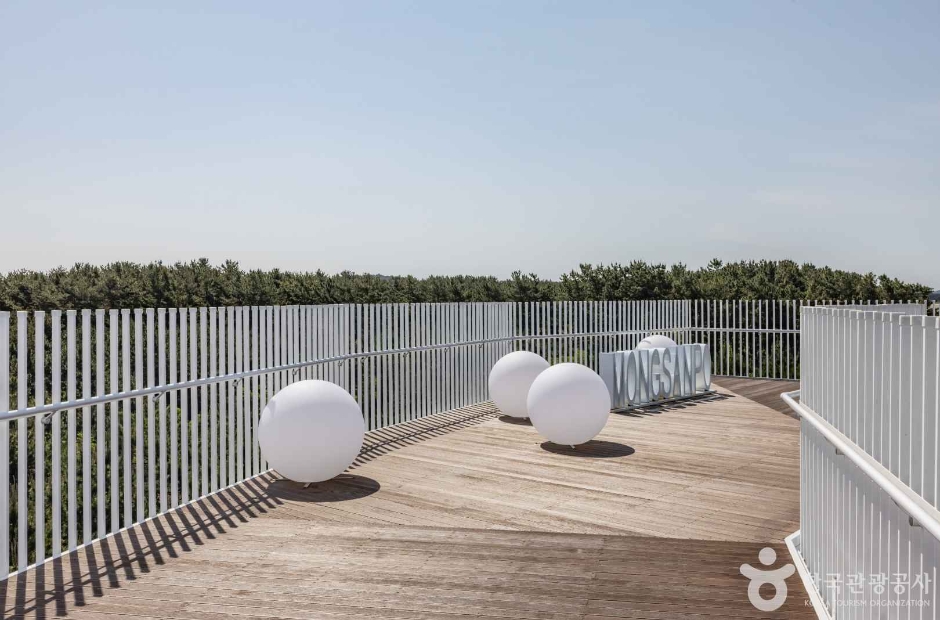 태안 가볼만한곳 베스트10