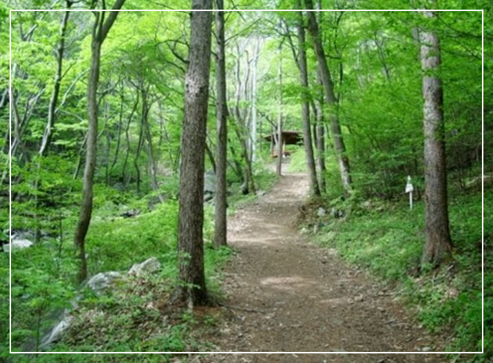 홍성 가볼만한곳 베스트10 백월산