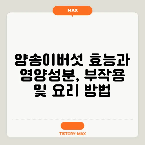 양송이버섯 효능과 영양성분, 부작용 및 요리 방법