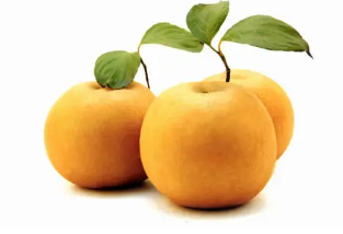 10월 제철 해산물, 10월 제철과일