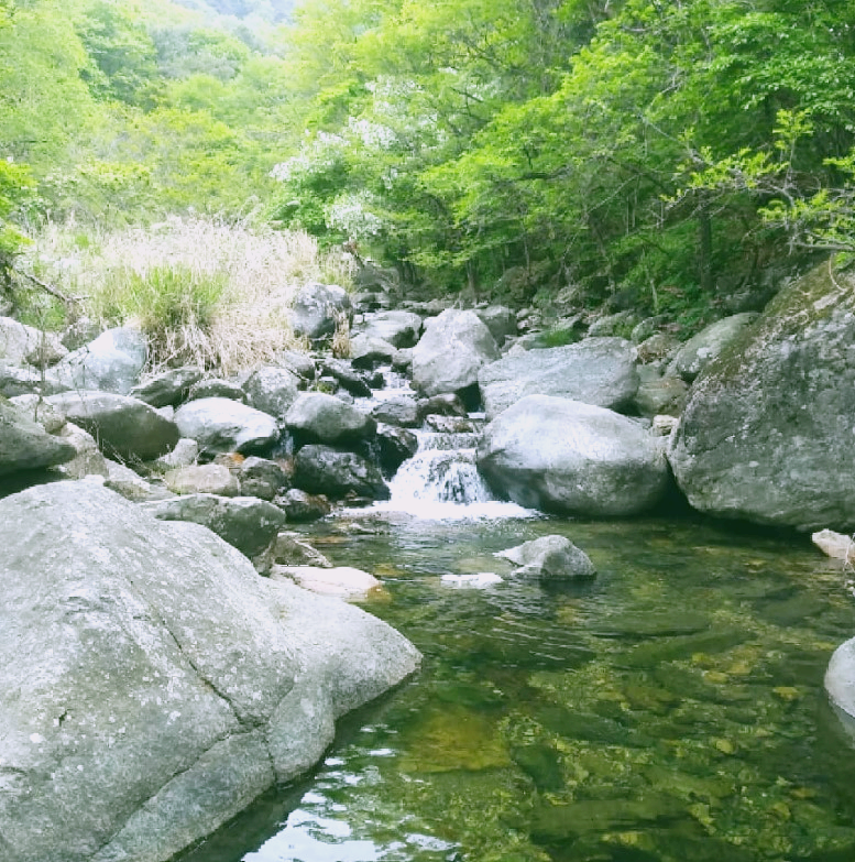 사나사계곡_00