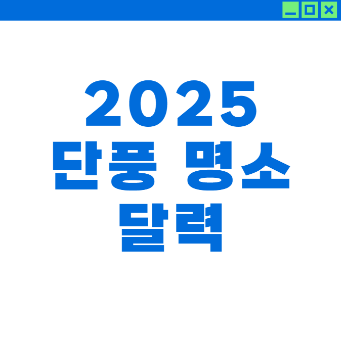 2025 단풍 명소 절정 달력