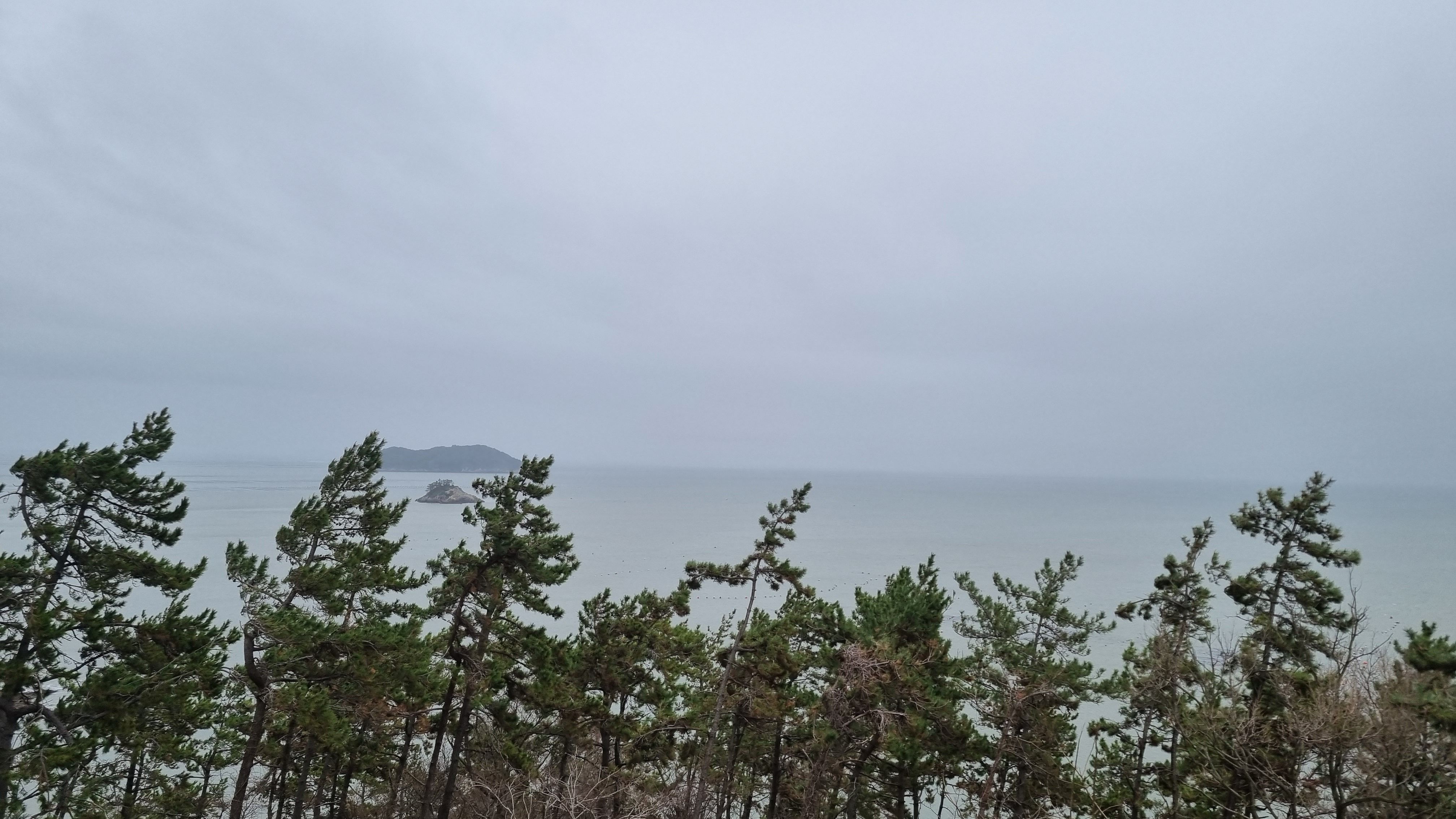 진도자연휴양림