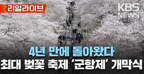진해군항제