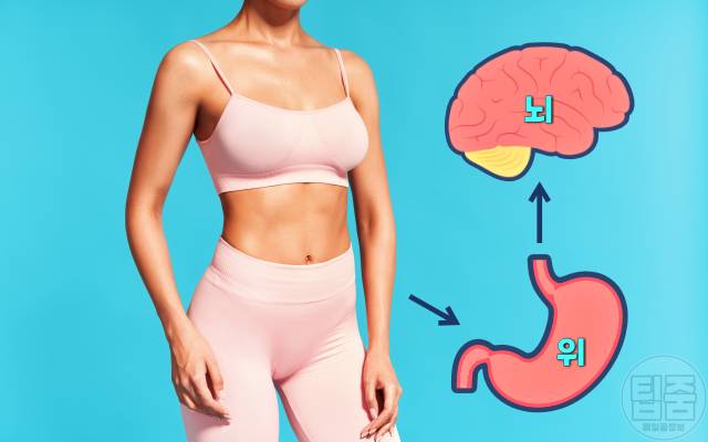 조금만 먹어도 배부른 음식 다이어트식품 추천