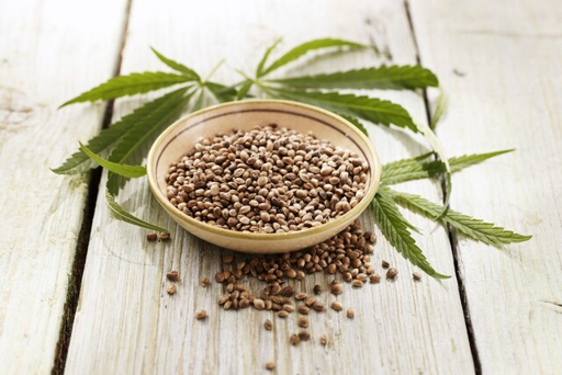 대마종자유 효능과 먹는 방법 