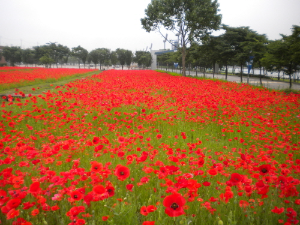 미사리경정공원