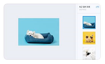 최근 캡처 목록