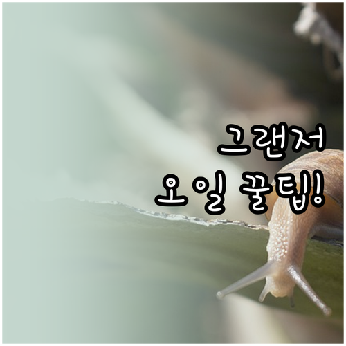 그랜저 엔진오일 점도와 규격 한눈에 ..