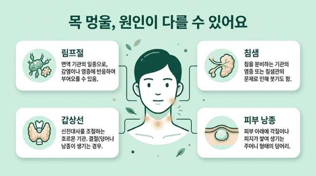 임파선염과 헷갈리는 목 멍울 질환