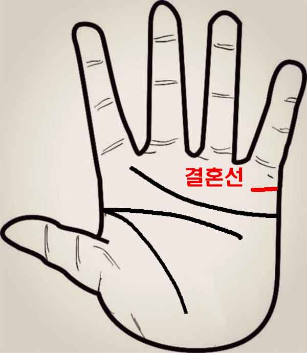 손금 결혼선 위치