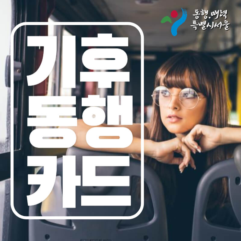 기후동행카드