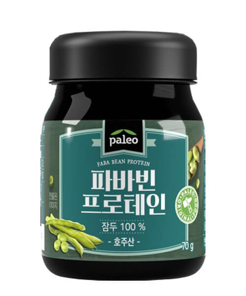 팔레오-파바빈