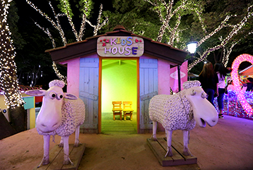 청도 프로방스 빛축제ㅣ물놀이장ㅣ동물체험ㅣ입장료ㅣ반려동물 정보