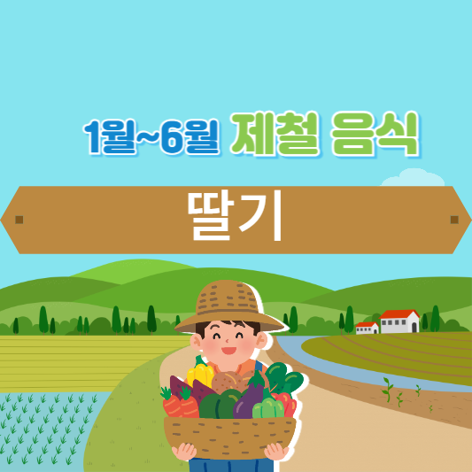 제철음식 딸기