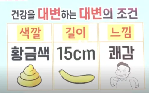 건강한 대변의 색깔 길이 질감
