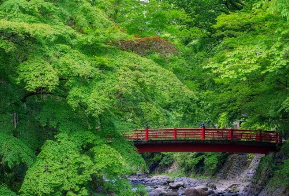 [일본 여행지 추천] 시즈오카 날씨, 위치, 맛집, 쇼핑, 가볼만한곳(후지산, 온천), 료칸