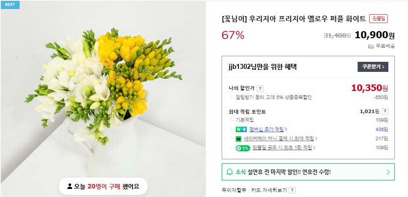 프리지아 꽃말과 향 (+ 키우기 시기 향수 추천)