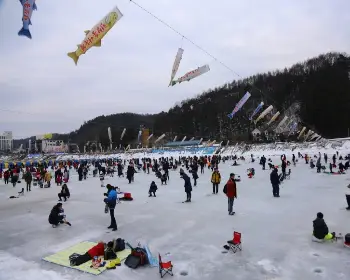 평창 송어축제_3