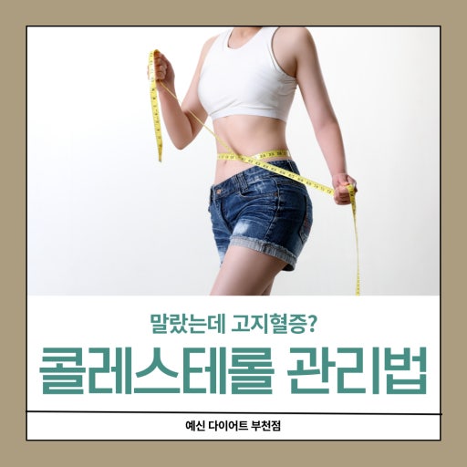콜레스테롤 관리 방법 알아보기