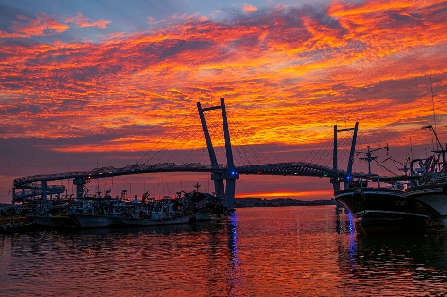드르니항 맛집부터 튤립축제까지