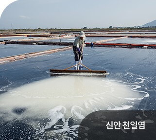 2023 전국 김치축제