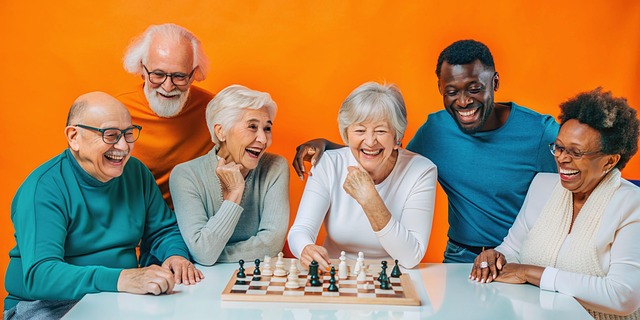 돌봄과 커뮤니티의 과제, 노노(老老)케어