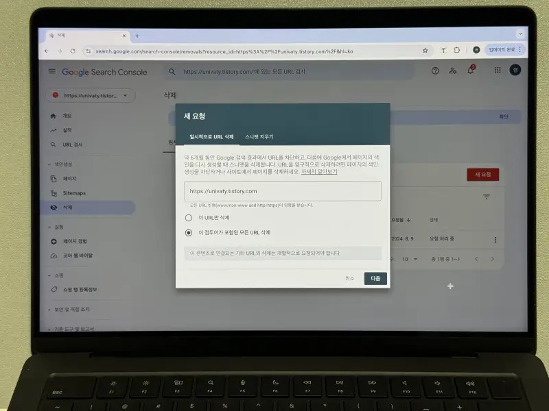 구글 서치콘솔 일시적으로 사이트 URL 삭제 알럿 사진
