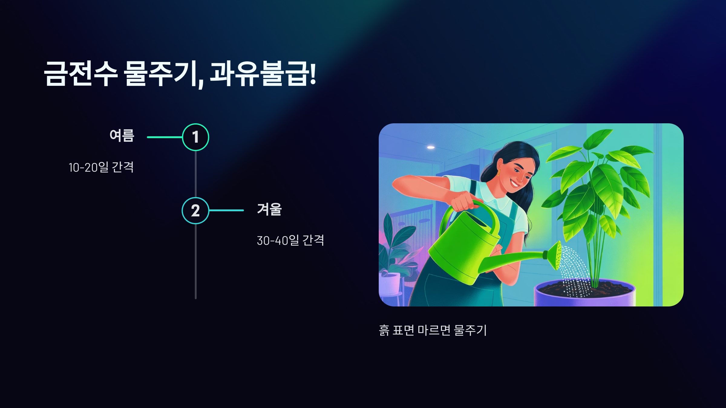 금전수 물주기, 과유불급!