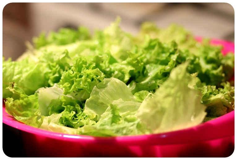 양상추 부작용 및 주의사항