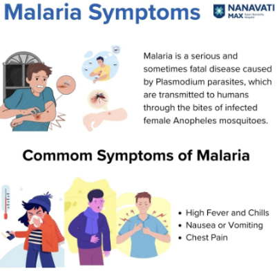 말라리아 증상 10가지 총정리 섬네일