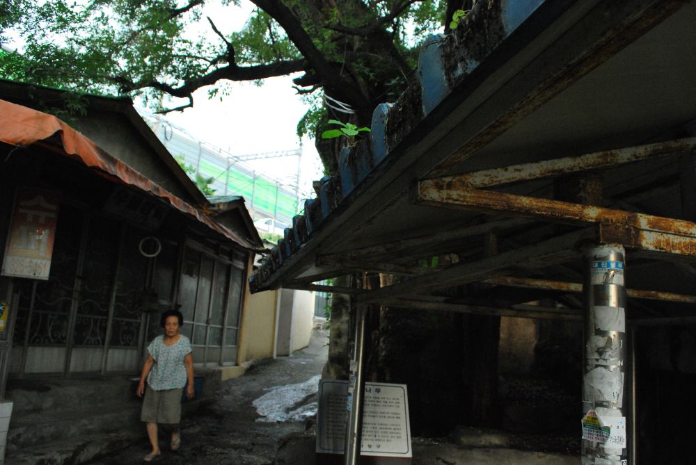 주례1동 주례시장 골목길