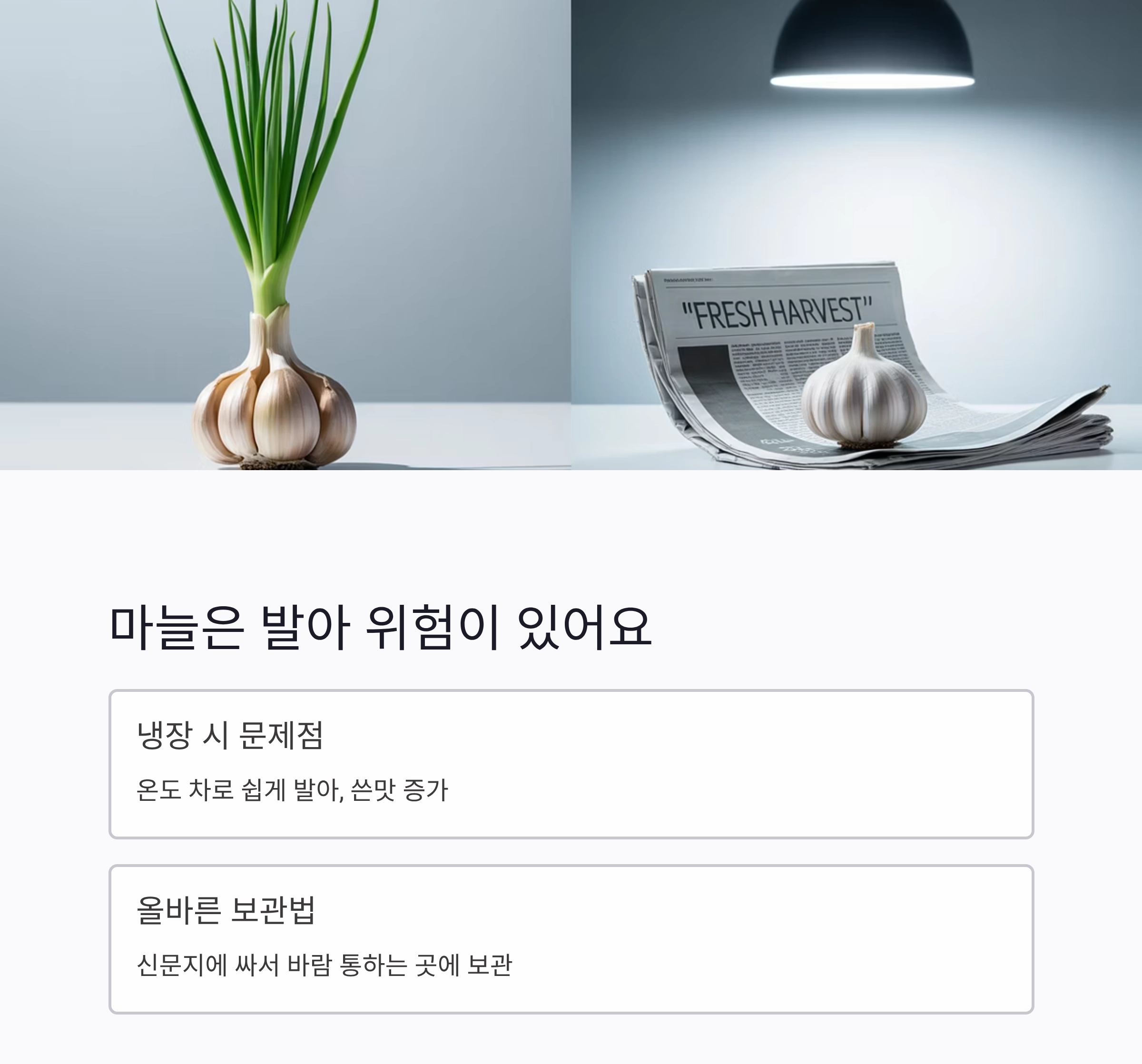 냉장고에 넣으면 안 되는 식재료 8가지, 보관 실수 막는 꿀팁