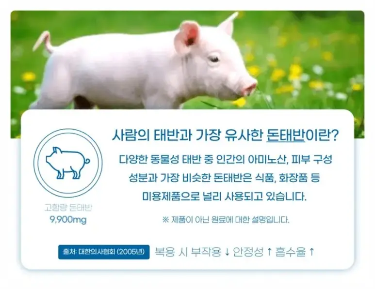 태반주사
