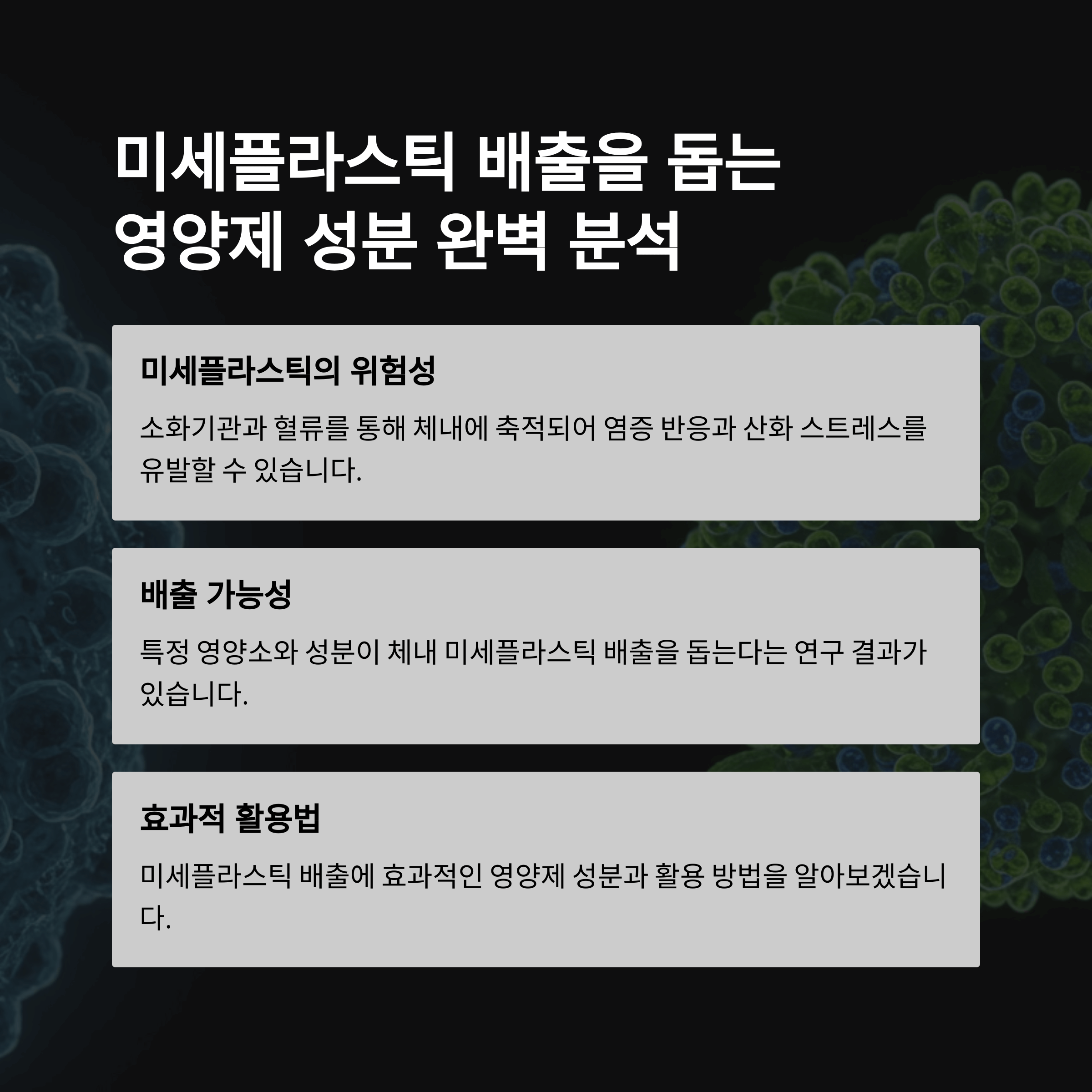 미세플라스틱 배출을 돕는 영양제 성분 완벽 분석