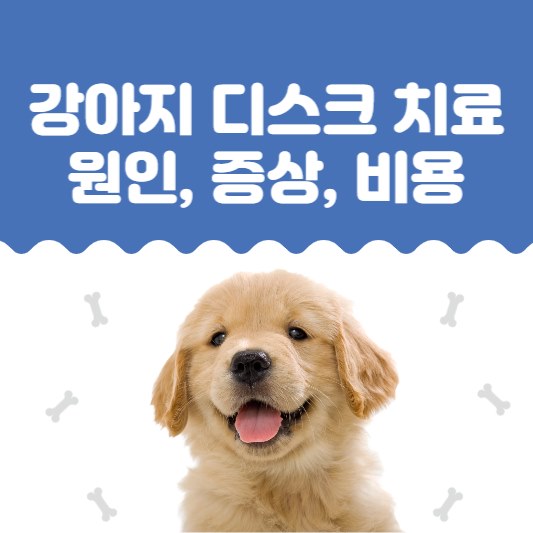 강아지-디스크-치료-방법-썸네일