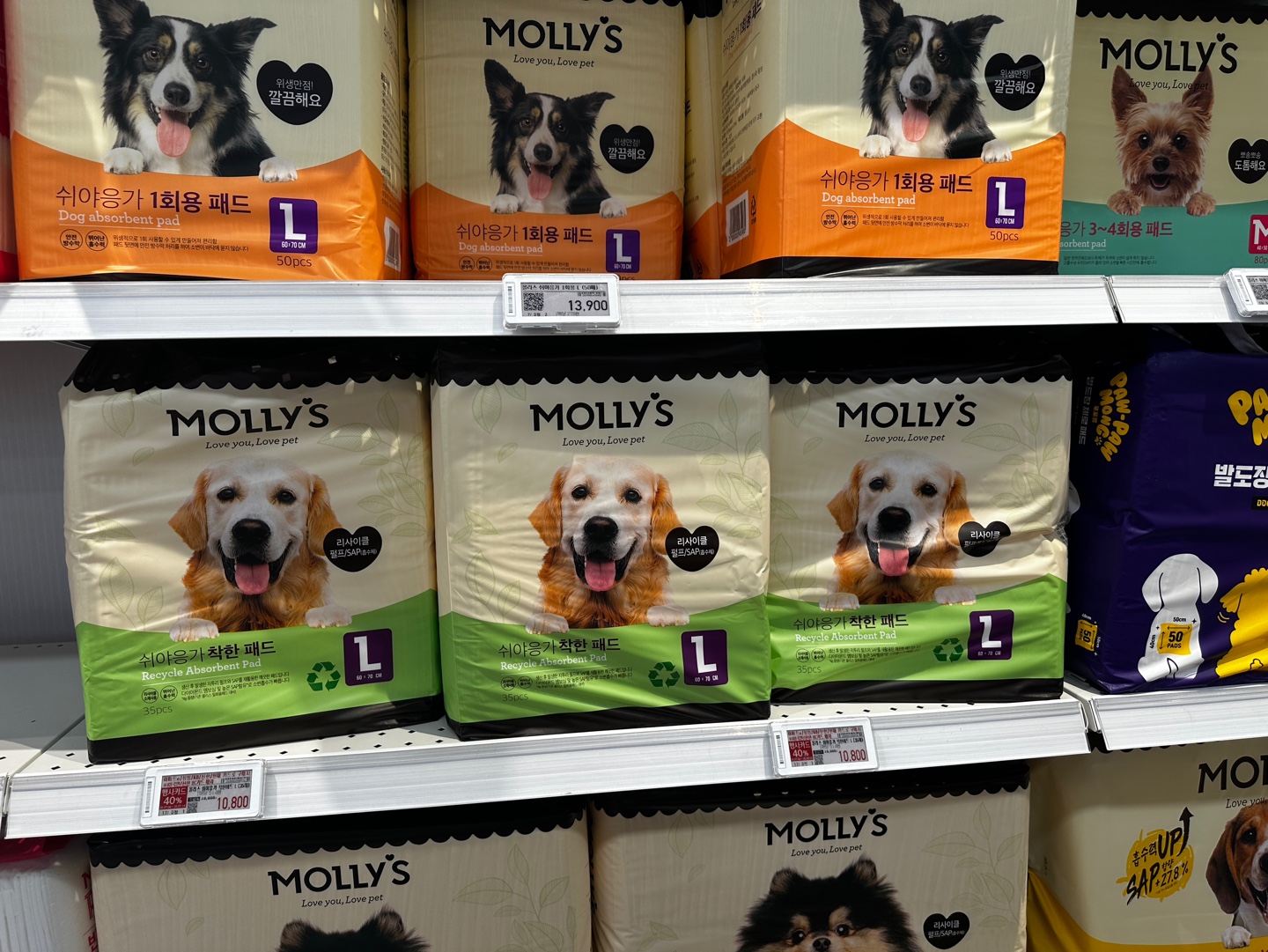 몰리스 강아지 냄새잡는 배변패드 제품들 진열 사진, 포메라니안, 허스키 등 제품별 캐릭터 이미지