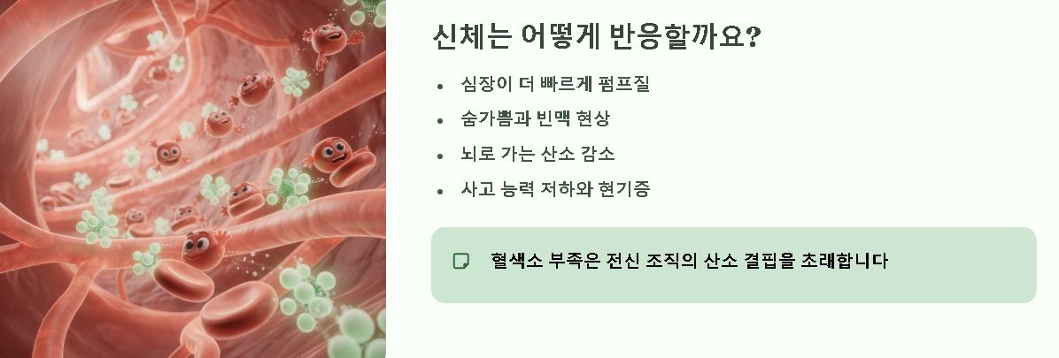 혈색소 수치 낮으면