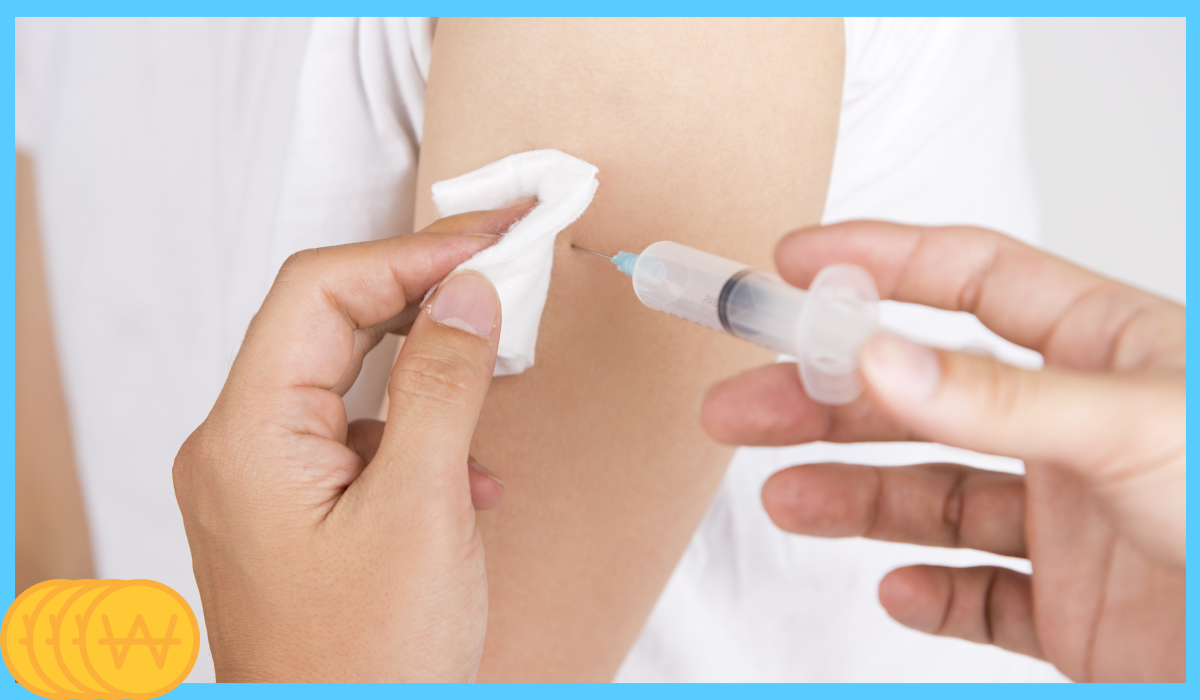 독감 예방접종 시기